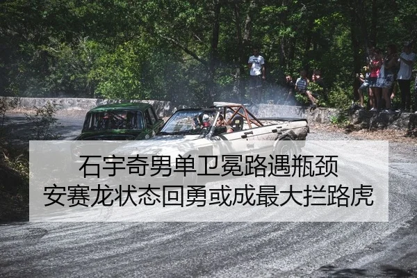 shi-yu-qi-nan-dan-wei-mian-lu-yu-ping-jing-an-sai-long-zhuang-tai-hui-yong-huo-cheng-zui-da-lan-lu-hu-2-202.jpg
